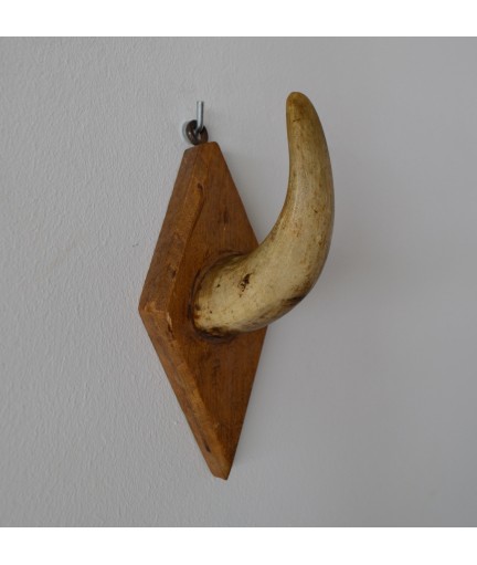 Corne de vache en portemanteau ou déco